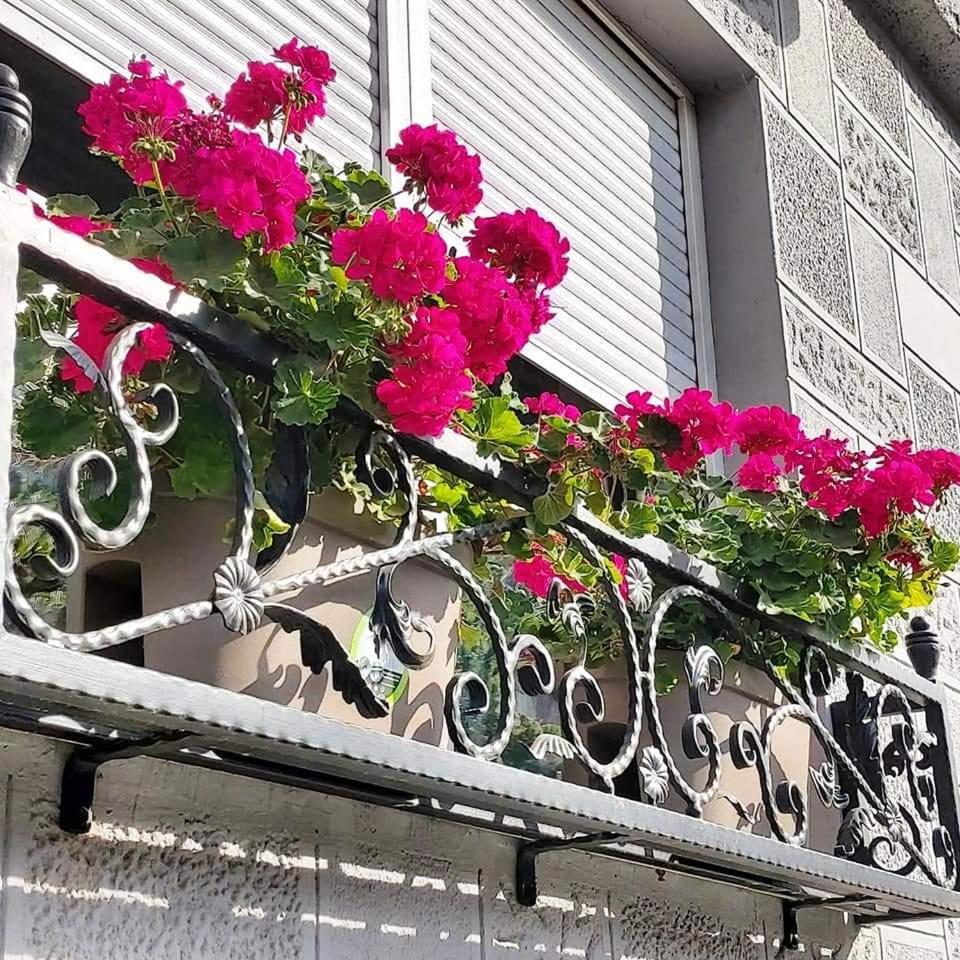 Hills Apartments Βρσατς Εξωτερικό φωτογραφία